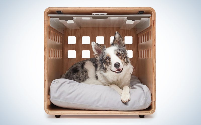 Maple wood Fable Crate with merle puppy on a bed inside